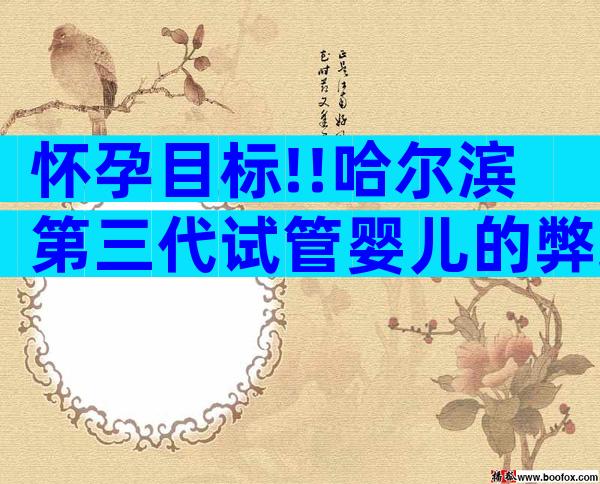 怀孕目标!!哈尔滨第三代试管婴儿的弊端与优势,帮助不孕夫妇    